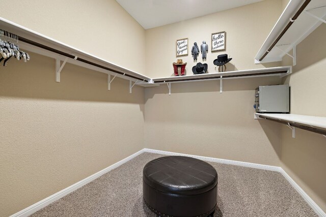 417 Freeman Park Pl, Round Rock, TX 78665 - spacious closet with carpet