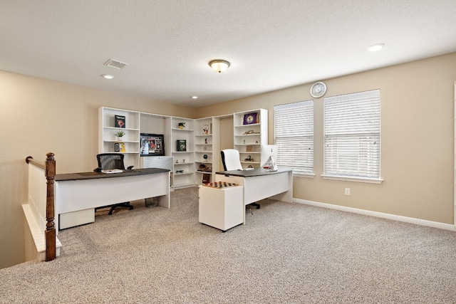 417 Freeman Park Pl, Round Rock, TX 78665 - photo 29