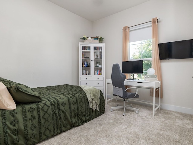 20513 Christie Marie Ln, Pflugerville, TX 78660 - bedroom featuring carpet flooring and baseboards