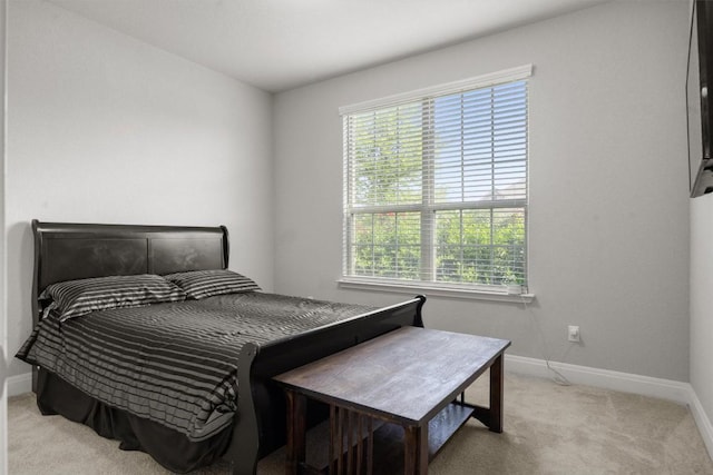 bedroom with baseboards and carpet floors