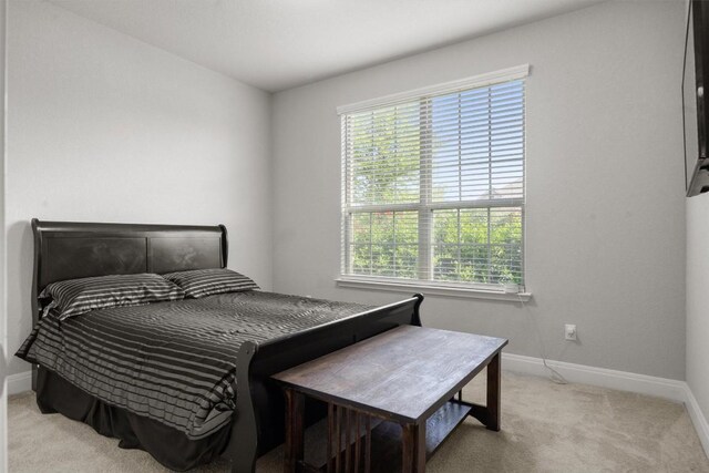 7404 Leonardo Dr, Round Rock, TX 78665 - carpeted bedroom featuring baseboards