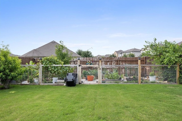 view of yard with a vegetable garden