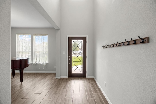 257 Falling Star Ln, Georgetown, TX 78628 - foyer entrance featuring wood finished floors, healthy amount of natural light, and baseboards