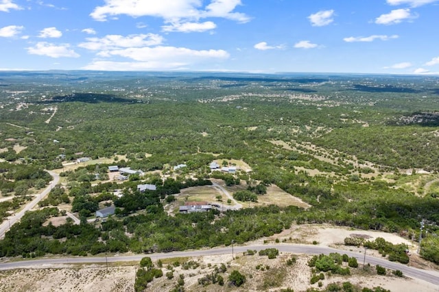 791 Windy Hills Rd, Dripping Springs, TX 78620 - photo 7
