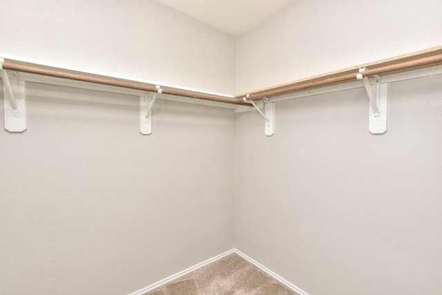 spacious closet with carpet floors