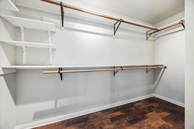 spacious closet with dark wood finished floors