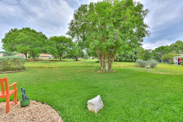 109 Cattle Trail Way, Georgetown, TX 78633 - view of green lawn