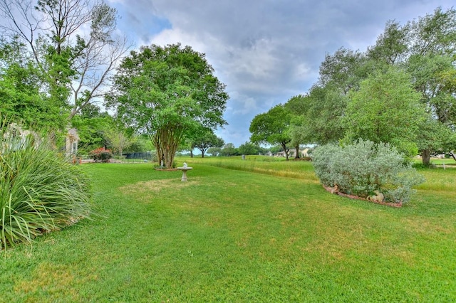 109 Cattle Trail Way, Georgetown, TX 78633 - view of green lawn