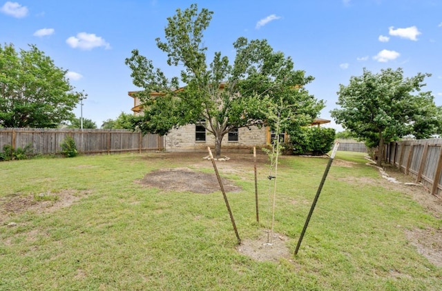 13306 James Monroe St, Manor, TX 78653 - view of yard