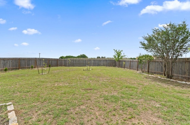 13306 James Monroe St, Manor, TX 78653 - view of yard