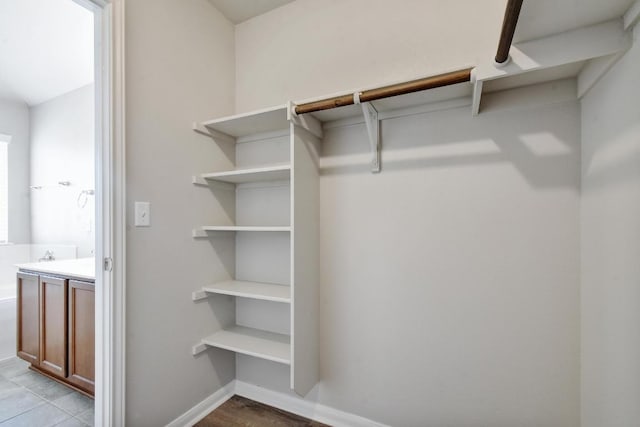 352 Voyager Cv, Kyle, TX 78640 - view of walk in closet