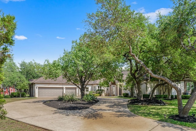 325 Onion Creek Ranch Rd, Driftwood, TX 78619 - view of property hidden behind natural elements with driveway, a garage, stucco siding, and a front lawn