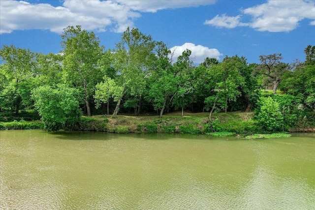 503 Colorado St, Smithville, TX 78957 - water view