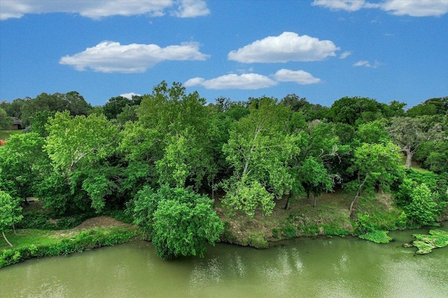 503 Colorado St, Smithville, TX 78957 - water view