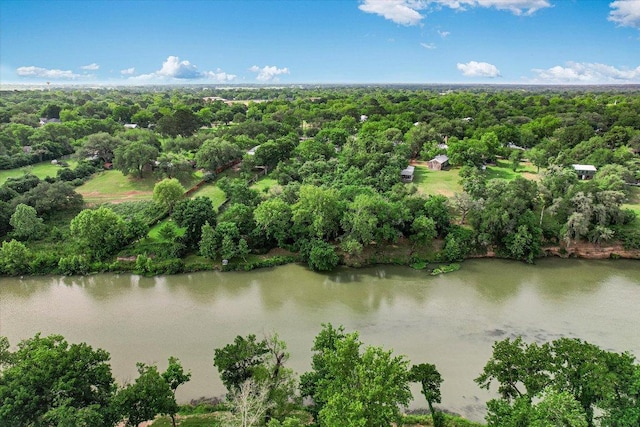 503 Colorado St, Smithville, TX 78957 - bird's eye view of a large body of water and a forest