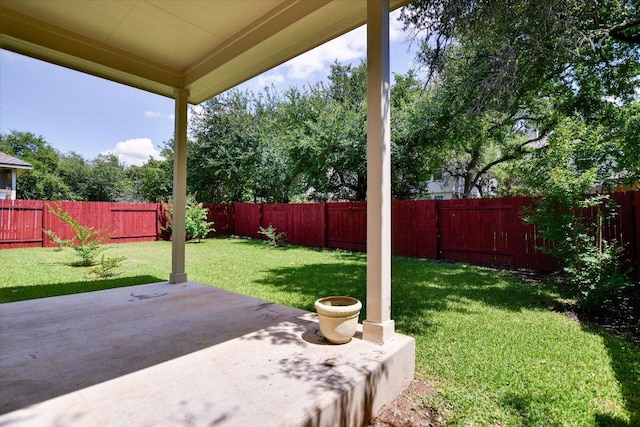 view of yard featuring a patio