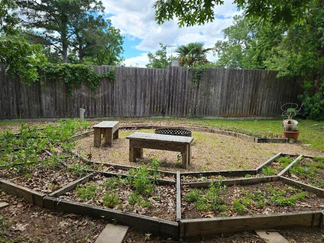 102 Stubblefield Dr, Elgin, TX 78621 - view of home's community featuring a vegetable garden and a fenced backyard