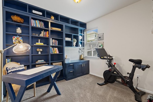 168 Pearl Way, Buda, TX 78610 - home office with light colored carpet and baseboards