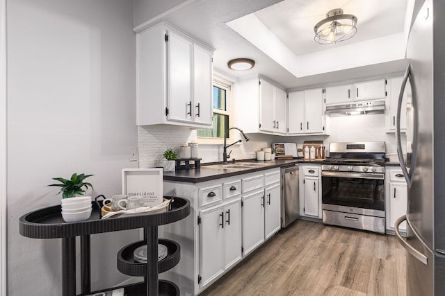 kitchen with appliances with stainless steel finishes, a sink, under cabinet range hood, dark countertops, and decorative backsplash