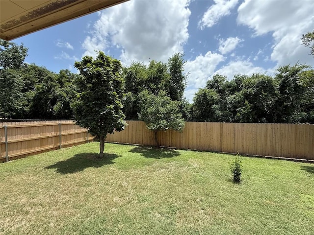 150 Primrose Blvd, Kyle, TX 78640 - view of fenced backyard