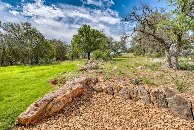 625 Desert Rose N, Horseshoe Bay, TX 78657 - view of green lawn