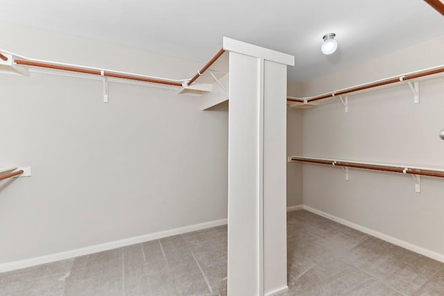 3929 Vallarta Ln, Round Rock, TX 78681 - walk in closet with light colored carpet