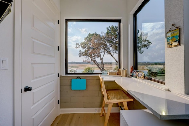 dining space featuring light wood-style floors, healthy amount of natural light, and baseboards