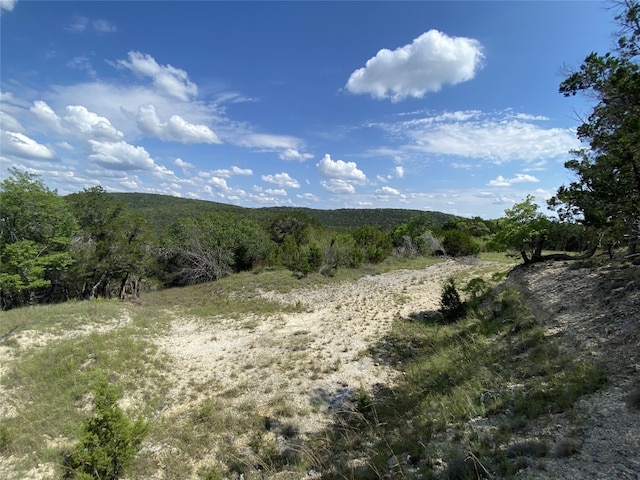 19201 W Reed Parks Rd, Jonestown, TX 78645 - photo 4