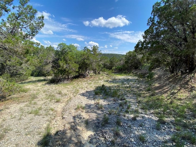 19201 W Reed Parks Rd, Jonestown, TX 78645
