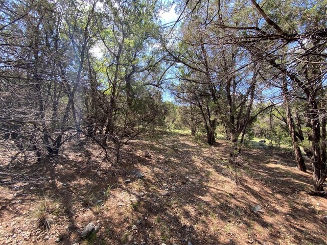 19201 W Reed Parks Rd, Jonestown, TX 78645