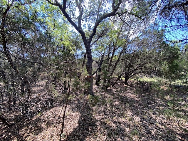 19201 W Reed Parks Rd, Jonestown, TX 78645