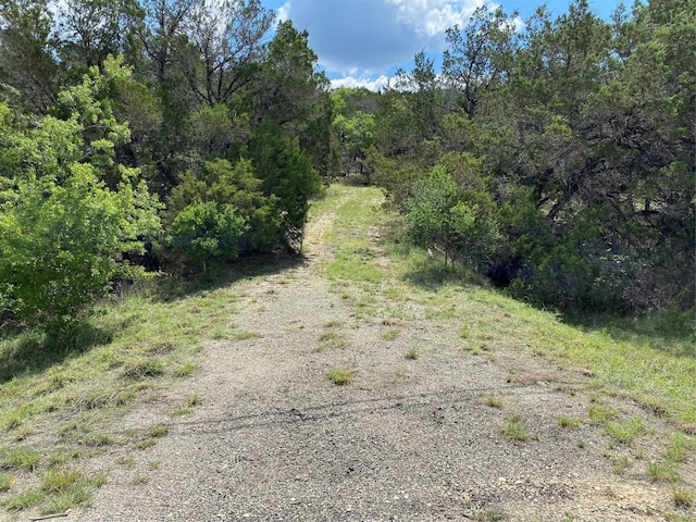 19201 W Reed Parks Rd, Jonestown, TX 78645 - photo 10