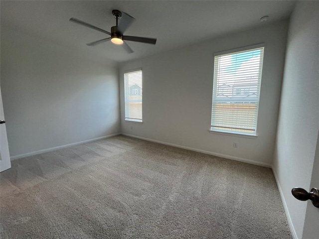 8521 Wellspring Loop, Round Rock, TX 78665 - photo 10