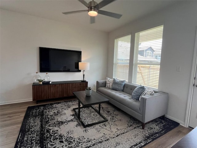8517 Wellspring Loop, Round Rock, TX 78665 - photo 10