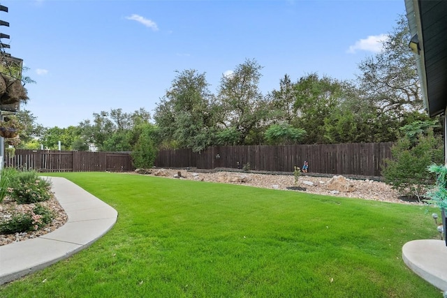 225 Escarpment Way, Cedar Park, TX 78613 - view of yard