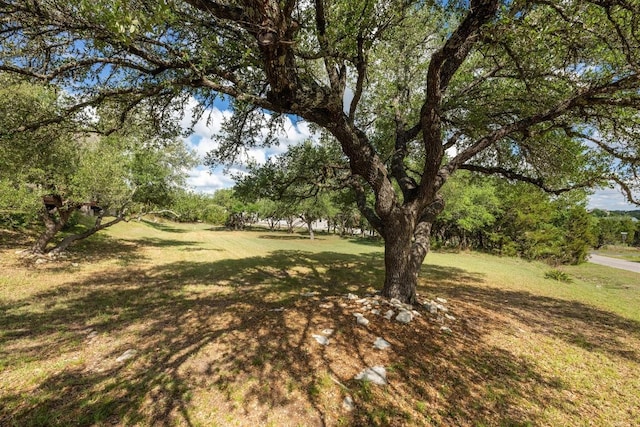 10978 W Cave Blvd, Dripping Springs, TX 78620 - view of grassy yard