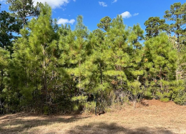 LOT986 Kailua L Ln, Bastrop, TX 78602