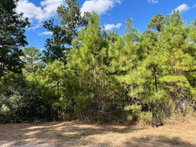 LOT986 Kailua L Ln, Bastrop, TX 78602