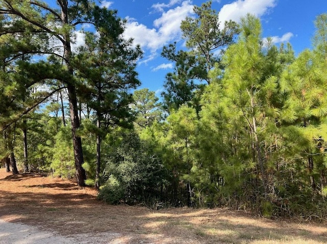 LOT986 Kailua L Ln, Bastrop, TX 78602
