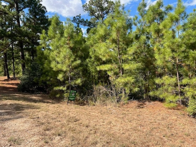 LOT986 Kailua L Ln, Bastrop, TX 78602
