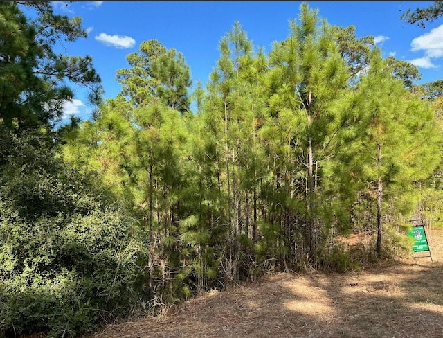 LOT986 Kailua L Ln, Bastrop, TX 78602