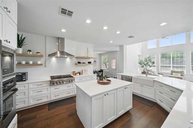 10725 Maelin Dr, Austin, TX 78739 - kitchen with open shelves, stainless steel appliances, a sink, wall chimney exhaust hood, and a center island