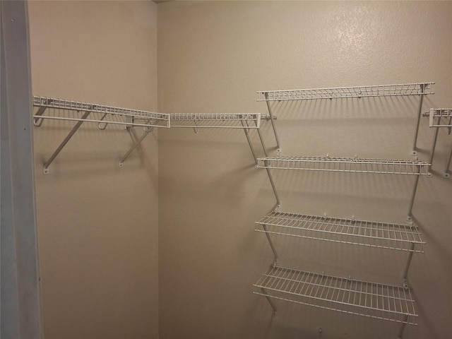 908 Sally Lunn Way, Pflugerville, TX 78660 - view of spacious closet