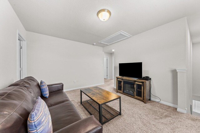 525 Longmount Cv, Liberty Hill, TX 78642 - photo 20