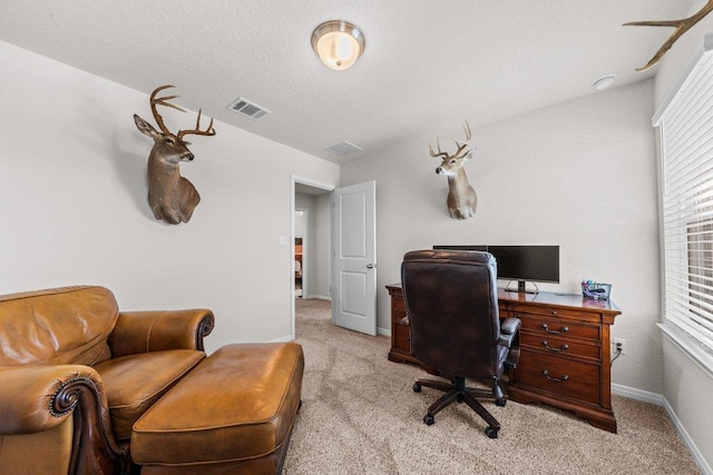 525 Longmount Cv, Liberty Hill, TX 78642 - photo 32