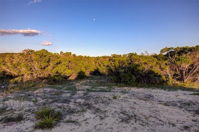 297 White Ranch Rd, Blanco, TX 78606 - view of wooded area