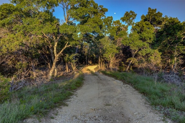 297 White Ranch Rd, Blanco, TX 78606 - view of road