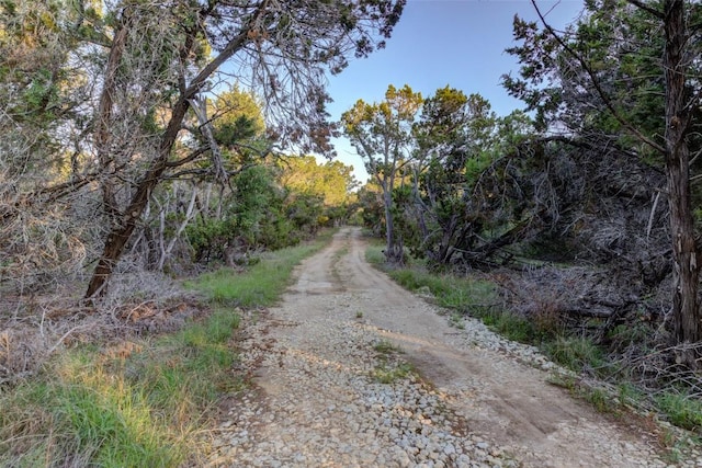 297 White Ranch Rd, Blanco, TX 78606 - view of street with a forest view