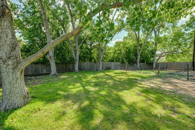 1305 Quail Ravine, Round Rock, TX 78664 - view of yard