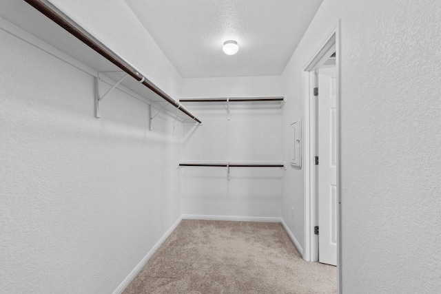 520 Betty Ann Way, Leander, TX 78641 - spacious closet with light carpet